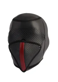 Full-Face hood.